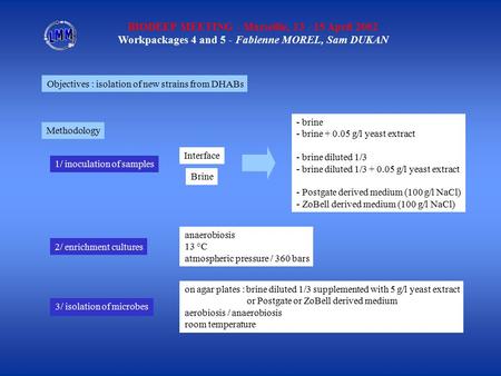BIODEEP MEETING - Marseille, 13 - 15 April 2002 Workpackages 4 and 5 - Fabienne MOREL, Sam DUKAN Objectives : isolation of new strains from DHABs Interface.