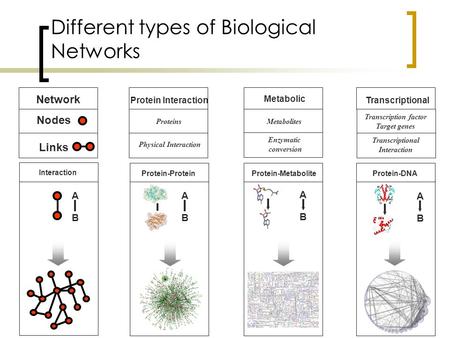 Nodes Links Interaction A B Network Proteins Physical Interaction Protein-Protein A B Protein Interaction Metabolites Enzymatic conversion Protein-Metabolite.