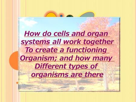 MY OBJECTIVES - understand and explain cell theory -explain the different kingdoms of organisms and their classification -how cells, tissues and organ.