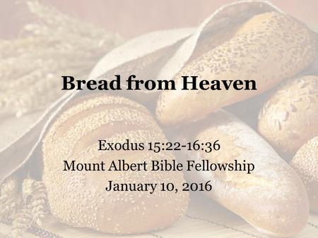 Bread from Heaven Exodus 15:22-16:36 Mount Albert Bible Fellowship January 10, 2016.