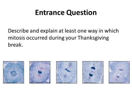 Entrance Question Describe and explain at least one way in which mitosis occurred during your Thanksgiving break.