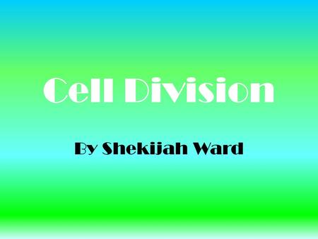 Cell Division By Shekijah Ward. Interphase (Prep-Stage) o Grow o DNA replicates(exact copy) o Prepares to divide o 90% of a Cells life is spent in Interphase.