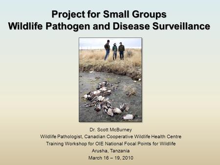 Project for Small Groups Wildlife Pathogen and Disease Surveillance Dr. Scott McBurney Wildlife Pathologist, Canadian Cooperative Wildlife Health Centre.