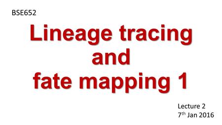 Lineage tracing and fate mapping 1