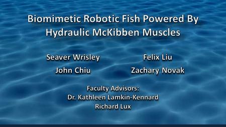 Project Goals Design and build a fully submersible robotic fish platform powered by McKibben muscles Execute realistic fish motion with a fish-like appearance.