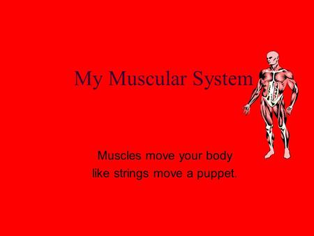 My Muscular System Muscles move your body like strings move a puppet.