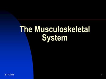 The Musculoskeletal System