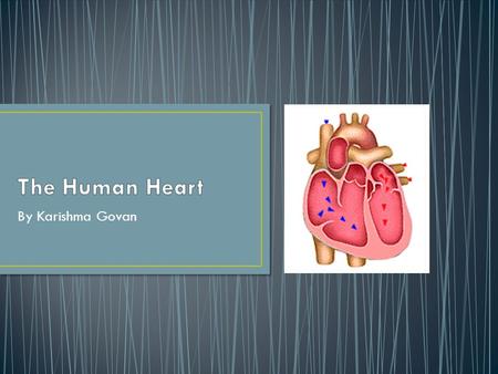 By Karishma Govan. Your heart is about the same size as a pear and sits in your chest. It has four parts, the left ventricle and the right ventricle which.