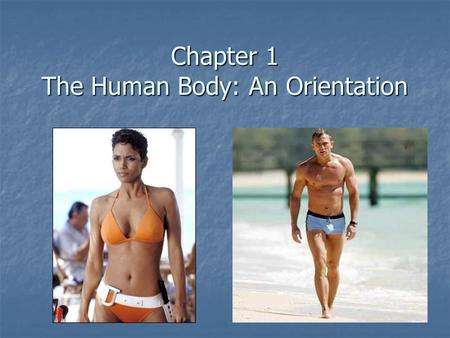 Chapter 1 The Human Body: An Orientation