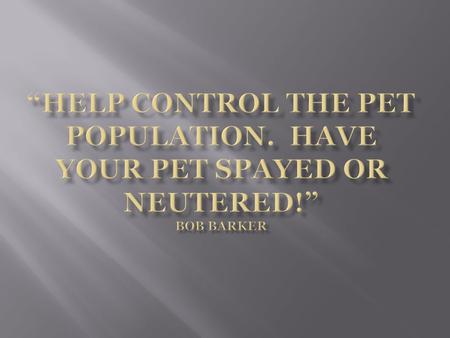  Everyone will have a better understanding of the importance of having their pets altered.