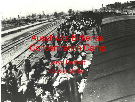 Auschwitz-Birkenau Concentration Camp