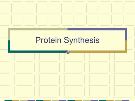 Protein Synthesis. Genes  Proteins Genes: a sequence of nucleotides in DNA that performs a specific function. Each gene contains the instructions to.