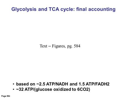 Page 584 Glycolysis and TCA cycle: final accounting based on ~2.5 ATP/NADH and 1.5 ATP/FADH2 ~32 ATP/(glucose oxidized to 6CO2) Text – Figures, pg. 584.