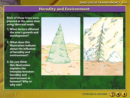 Continued on next slide. Click the mouse button or press the Space Bar to display the answers. Answers: 1.Environmental factors such as soil conditions,