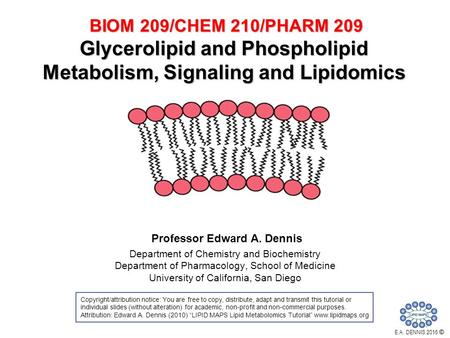 Professor Edward A. Dennis Department of Chemistry and Biochemistry Department of Pharmacology, School of Medicine University of California, San Diego.