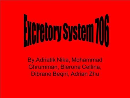 By.Adriatik Nika, Mohammad Ghrumman, Blerona Cellina, Dibrane Beqiri, Adrian Zhu.