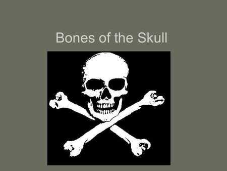 Bones of the Skull. Skull = Cranium and Facial Bones Cranium (8) 1. Frontal bone – forehead 2. Parietal bones (2) – roof and side of cranium 3. Temporal.