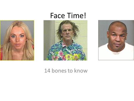 Face Time! 14 bones to know. Lets start with the 14 bones of the face Paired 1.Maxillae 2.Zygomatic 3.Nasal 4.Inferior nasal conchae 5.Lacrimal 6.Palantine.