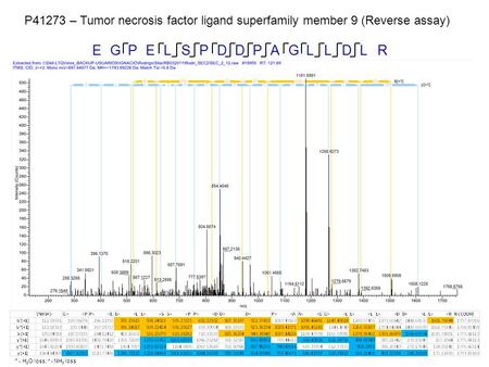 P41273 – Tumor necrosis factor ligand superfamily member 9 (Reverse assay) ° - H 2 O loss; * - NH 3 loss.