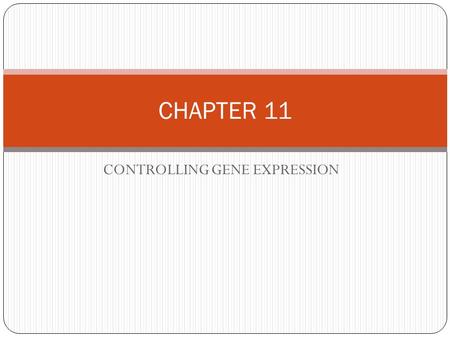 CONTROLLING GENE EXPRESSION CHAPTER 11. GENE EXPRESSION - occurs in the DNA- prior to TRANSCRIPTION the activation of a gene that results in the formation.