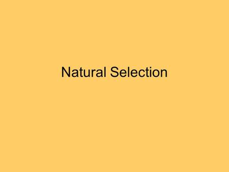 Natural Selection. Your Definition How would you describe the mechanism of natural selection?