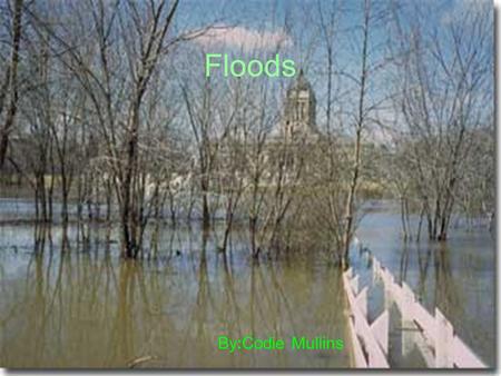 Floods By:Codie Mullins. Facts About Floods Six inches of fast flowing water will knock you off your feet. Four inches of water will ruin your carpet.