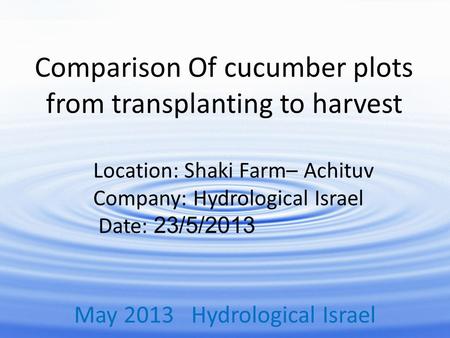 Comparison Of cucumber plots from transplanting to harvest Location: Shaki Farm– Achituv Company: Hydrological Israel Date: 23/5/2013 May 2013 Hydrological.