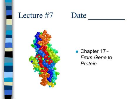 Lecture #7Date _________ n Chapter 17~ From Gene to Protein.