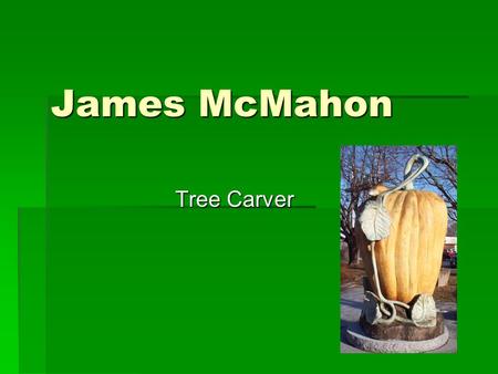 James McMahon Tree Carver. What do you see in the next 4 slides?