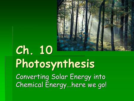 Ch. 10 Photosynthesis Converting Solar Energy into Chemical Energy…here we go!