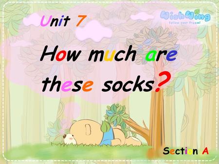 How much are these socks?