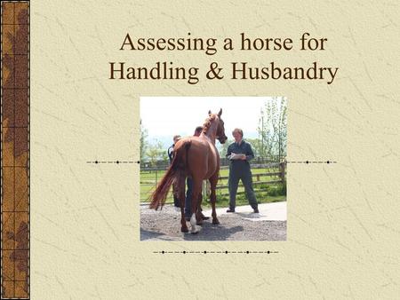 Assessing a horse for Handling & Husbandry. What handling/husbandry procedures? Grooming Picking out hooves Putting on a rug Placing a saddle Placing.