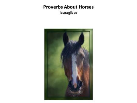 Proverbs About Horses lauragibbs. Proverbs About Horses.