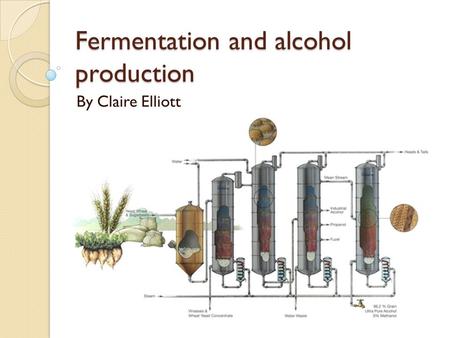 Fermentation and alcohol production