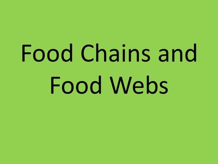 Food Chains and Food Webs. Why do scientists study food chains? Scientists study food chains to see how energy flows through organisms Where do we get.