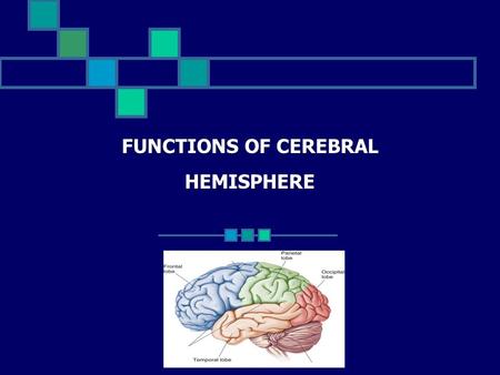 FUNCTIONS OF CEREBRAL HEMISPHERE. The brain and spinal cord are protected by meninges 3 layers: Dura mater ~ outermost, tough, continuous with periosteum.