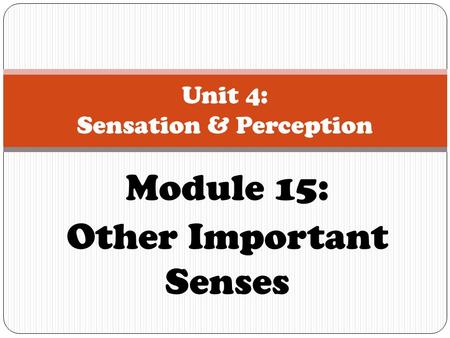 Module 15: Other Important Senses Unit 4: Sensation & Perception.