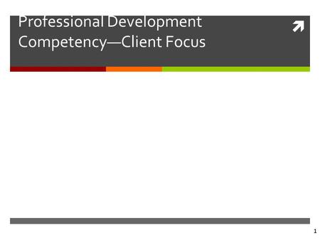  1 Professional Development Competency—Client Focus.