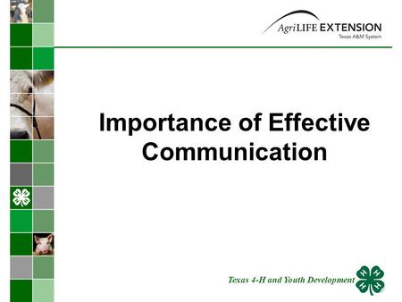 Importance of Effective Communication Texas 4-H and Youth Development.