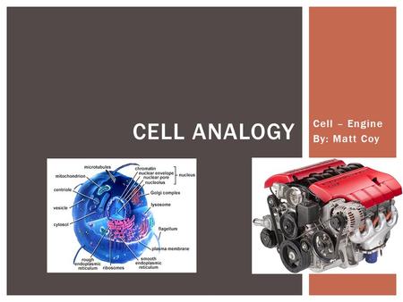 Cell – Engine By: Matt Coy