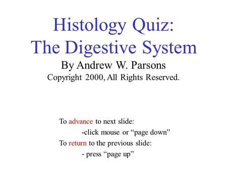 Histology Quiz: The Digestive System By Andrew W