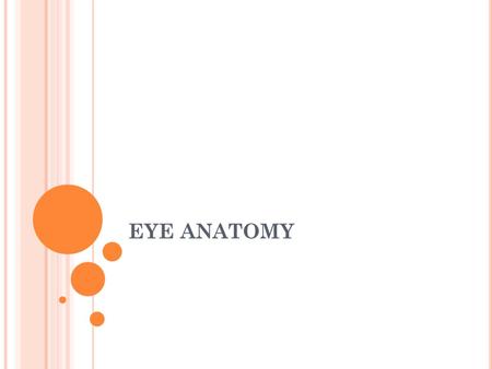 EYE ANATOMY.