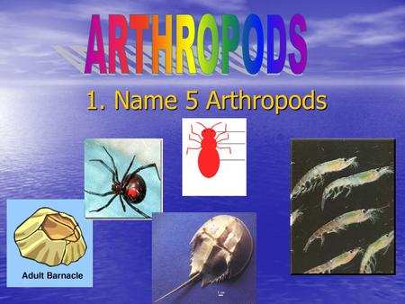 1. Name 5 Arthropods. Arthropods and Echinoderms 2. Without opening your book: Name two ways they are alike. Name two ways they are alike. Name three.