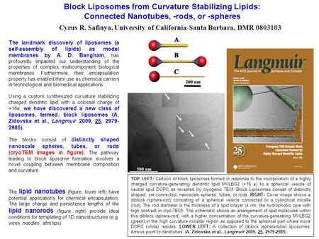 Block Liposomes from Curvature Stabilizing Lipids: Connected Nanotubes, -rods, or -spheres Cyrus R. Safinya, University of California-Santa Barbara, DMR.