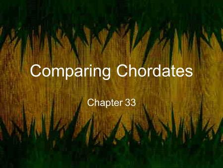 Comparing Chordates Chapter 33.