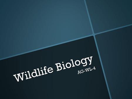 Wildlife Biology AG-WL-4. Reflection  What did you learn from yesterday’s activity?