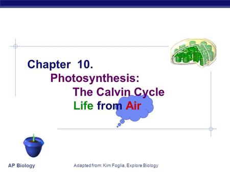 AP Biology Adapted from: Kim Foglia, Explore Biology Chapter 10. Photosynthesis: The Calvin Cycle Life from Air.