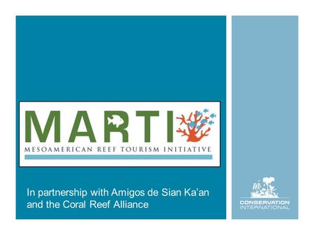 In partnership with Amigos de Sian Ka’an and the Coral Reef Alliance.