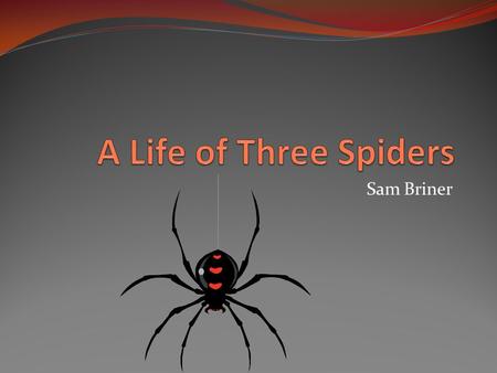 Sam Briner. June 1 School just ended and now the three spiders go to web-shooting camp.