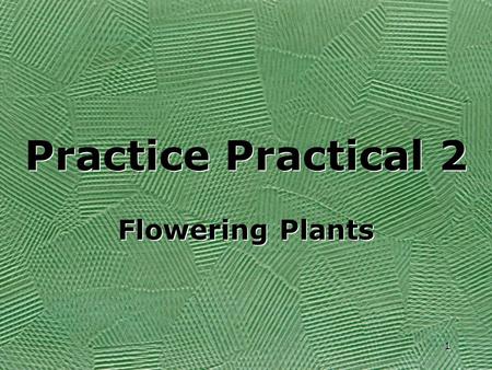 1 1 Practice Practical 2 Flowering Plants. 2 Name indicated parts 1 2 3 4 5.